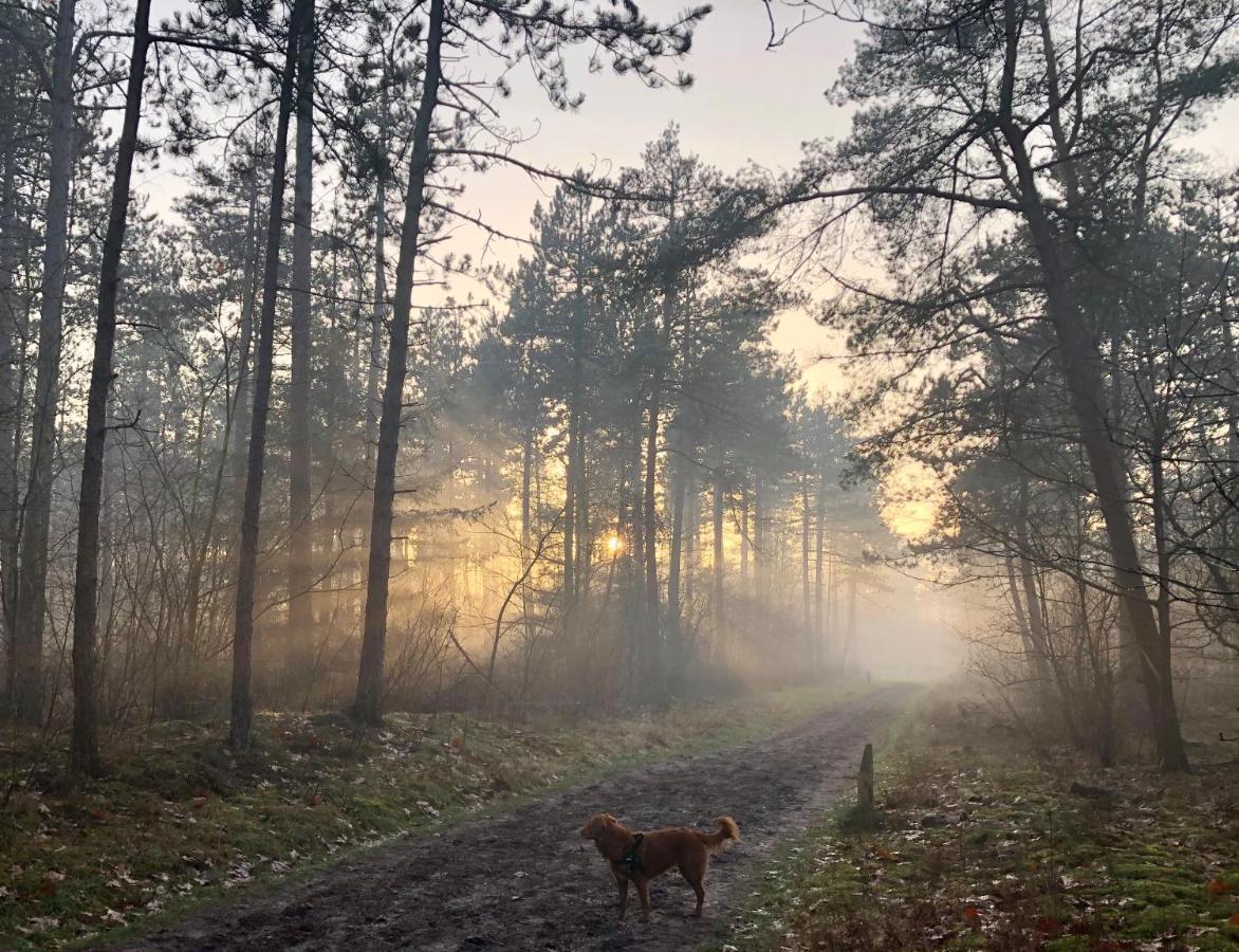 Het Natuurhuisje Op De Veluwe Nunspeet Εξωτερικό φωτογραφία