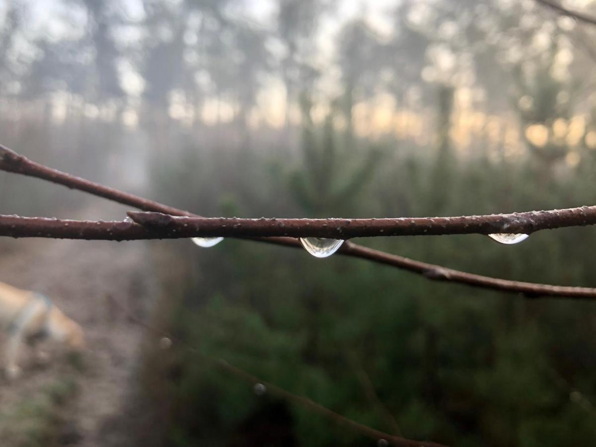 Het Natuurhuisje Op De Veluwe Nunspeet Εξωτερικό φωτογραφία