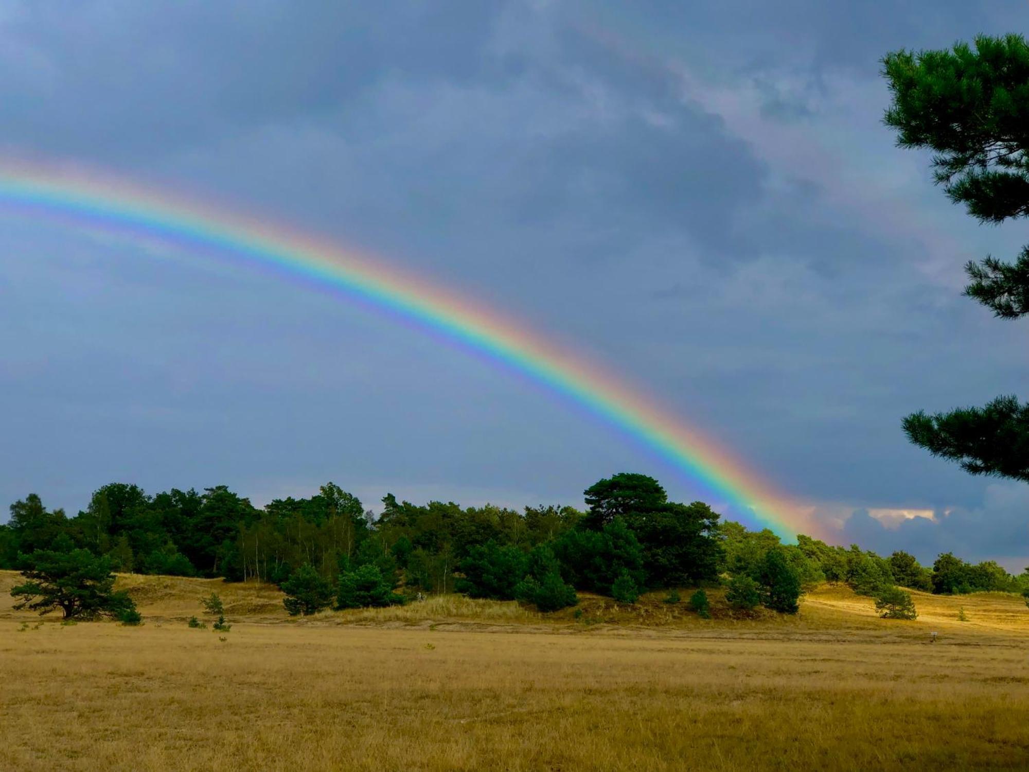 Het Natuurhuisje Op De Veluwe Nunspeet Εξωτερικό φωτογραφία