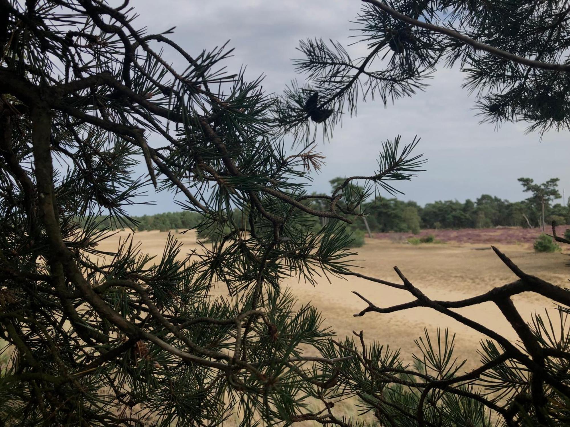 Het Natuurhuisje Op De Veluwe Nunspeet Εξωτερικό φωτογραφία