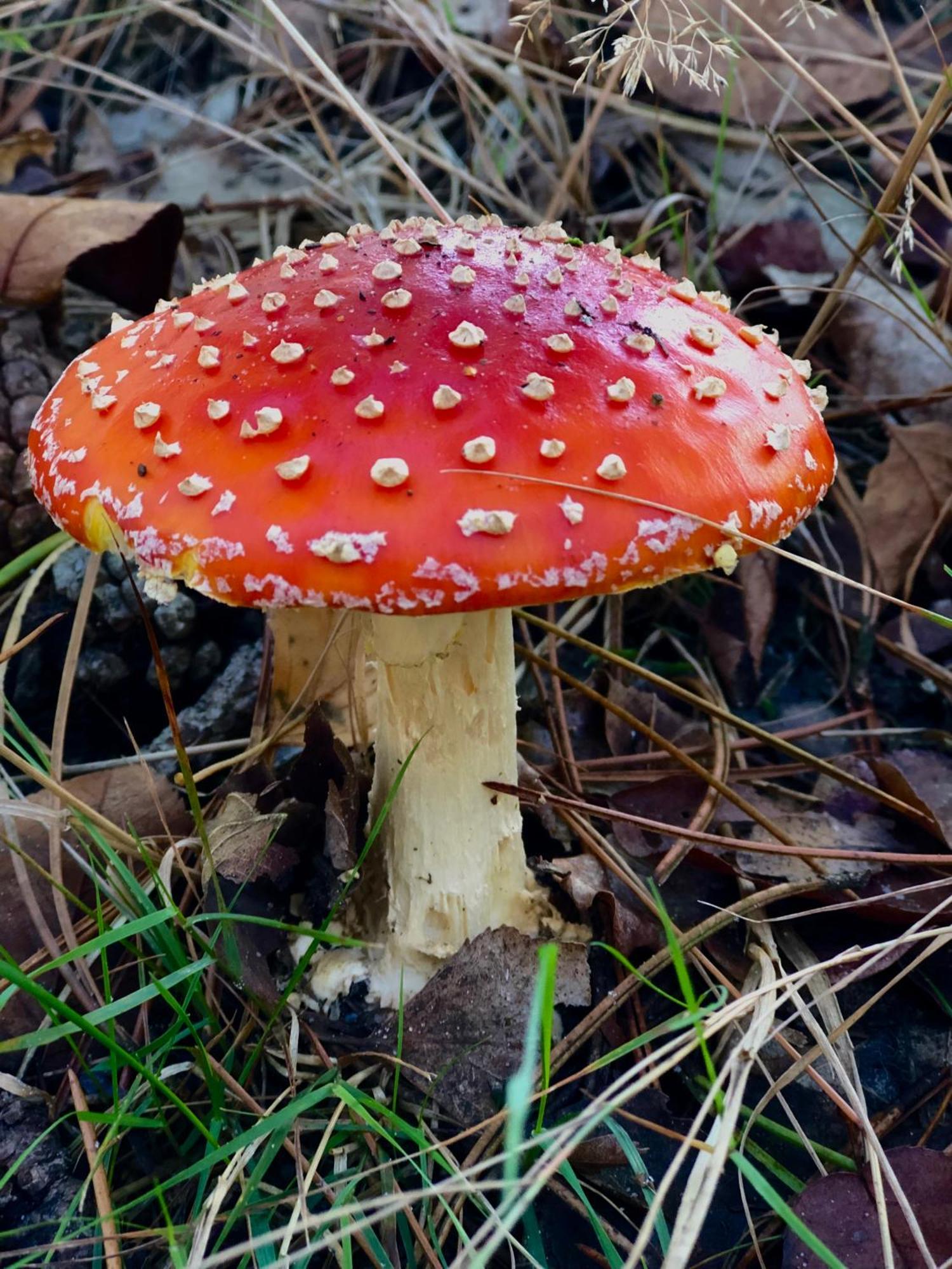 Het Natuurhuisje Op De Veluwe Nunspeet Εξωτερικό φωτογραφία