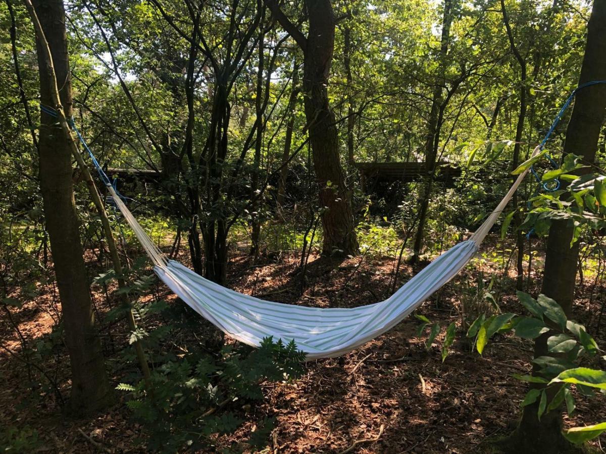 Het Natuurhuisje Op De Veluwe Nunspeet Εξωτερικό φωτογραφία